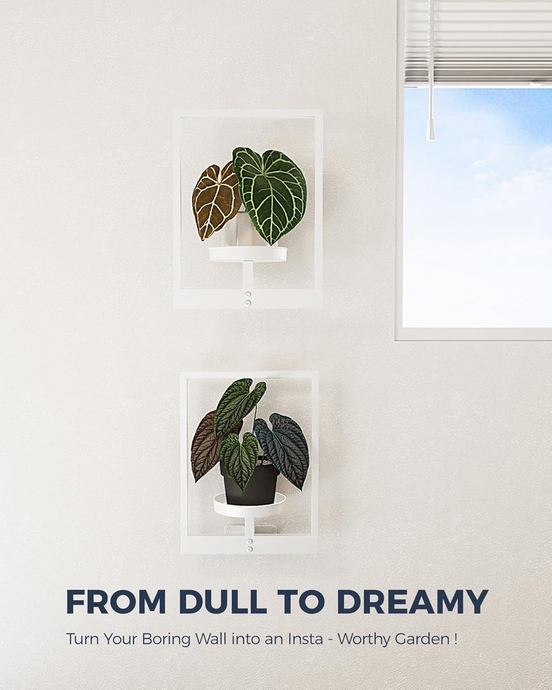 Bamworld White Plant Stand Indoor, Plant Hanger Wall Planters for Indoor Plants Window Plant Shelves Plant Holder Wall Decor, Room Decor (Patent Design) - Image 3